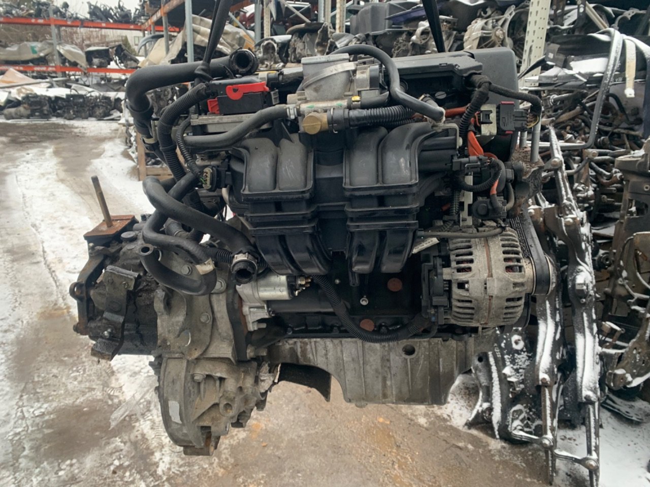 thumb