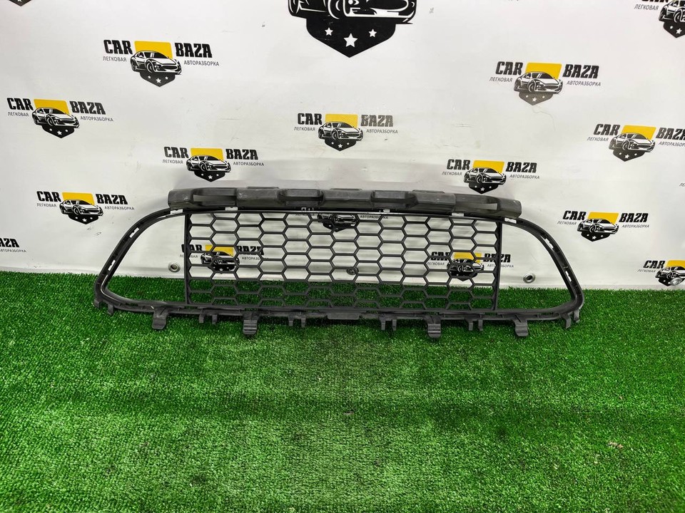 Заглушка (решетка) в бампер передний
