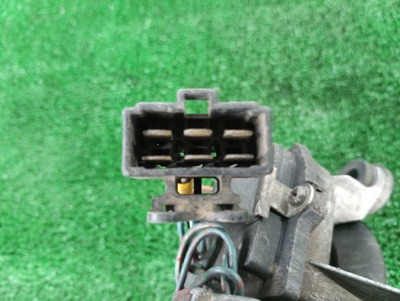 thumb