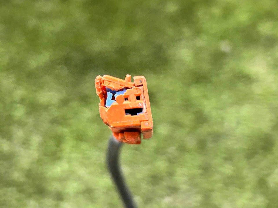 thumb