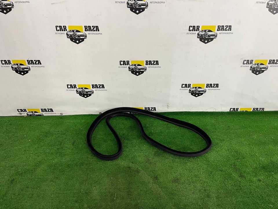 Уплотнитель двери задней левой