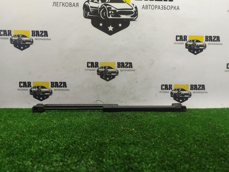  Амортизаторы капота 