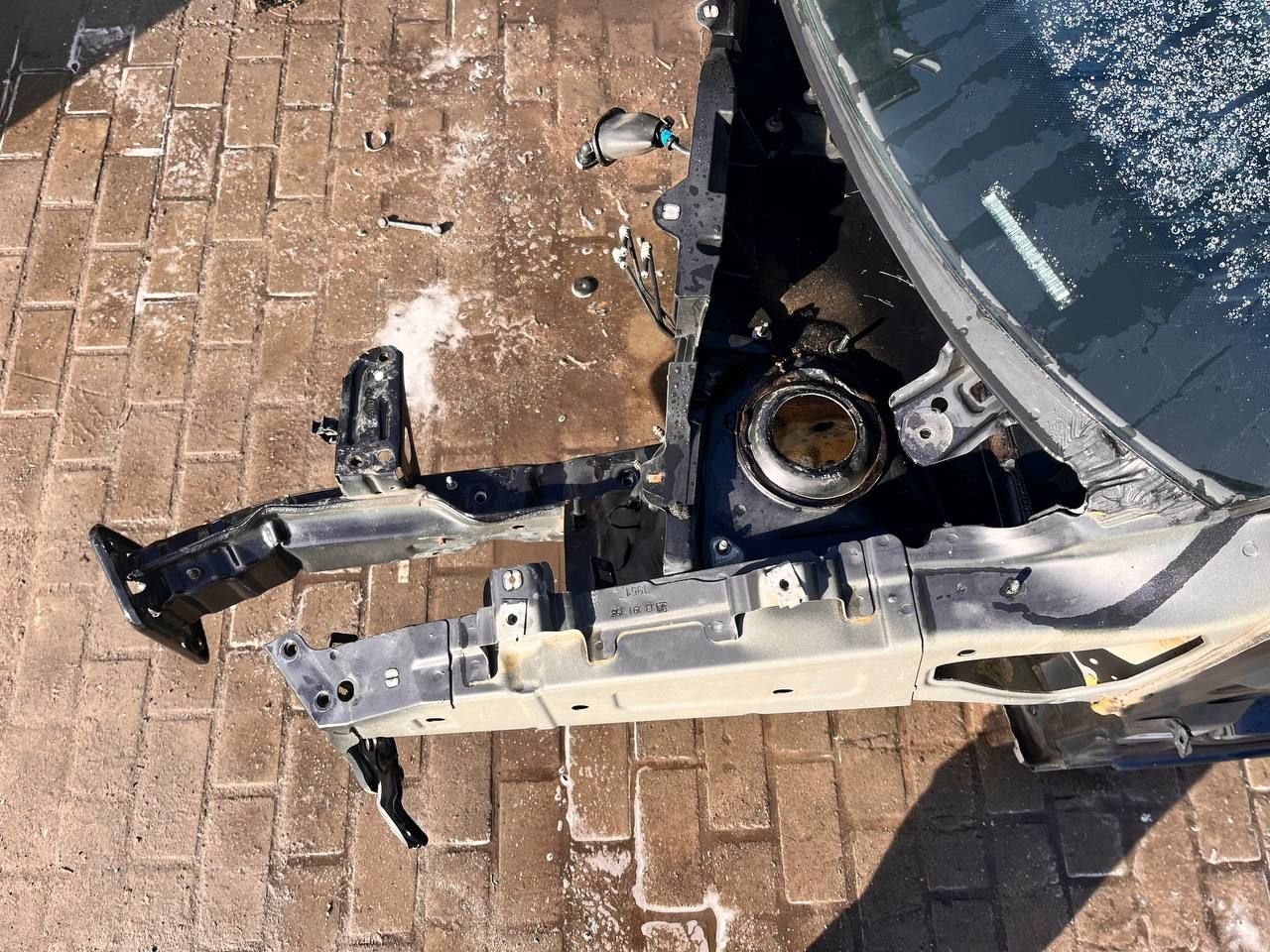 thumb